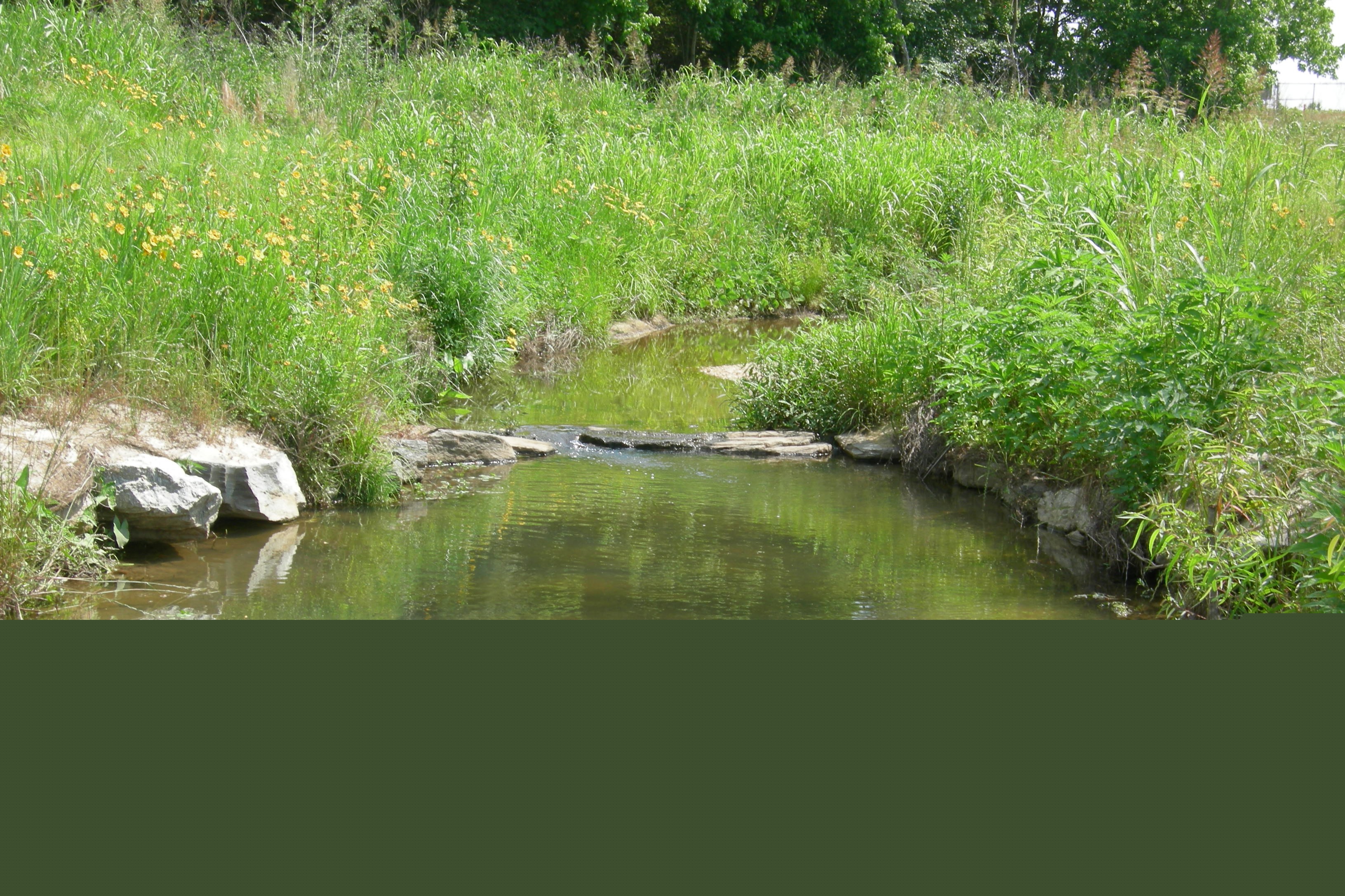 Coliseum Boulevard Plume stream