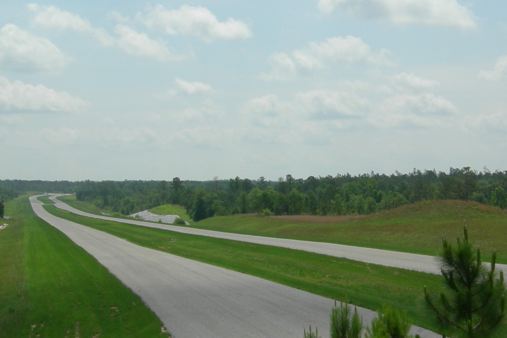 Roadway Established Vegetation